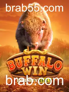 BuffaloWin: Uma Aventura de Cassino Online Inovadora